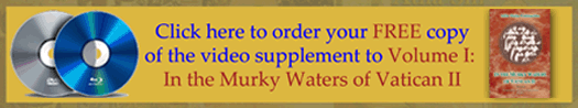 murky waters video